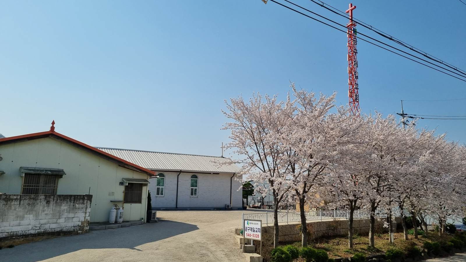 벚꽃이 핀 봄날의 교회 앞마당과 십자가탑